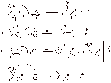 Write a mechanism to illustrate what will happen if the addition of bromine to